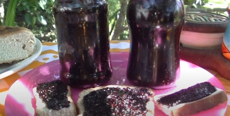 Receta de mermelada de rosa mosqueta - Comidas Típicas Chilenas